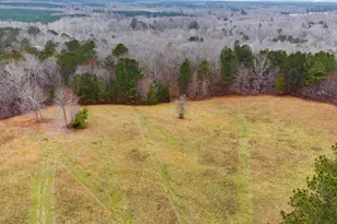 734 Fincher Rd, Covington, GA 30016 - Photo 80