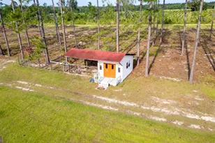 5407 S US Hwy 221, Uvalda, GA 30473 - Photo 40