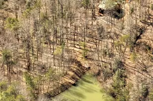 638 Cohutta Mountain Road, Cherrylog, GA 30522 - Photo 16