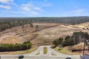 69 Vesper Grand Ave, Greensboro, GA 30642 - Photo 100