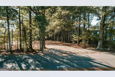 Tract 6 Lakeview Drive, Winterville, GA 30683 - Photo 12