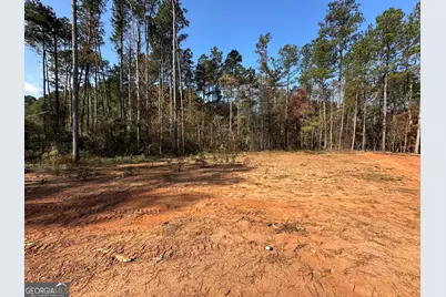 138 Sourwood Drive, Mansfield, GA 30055 - Photo 6