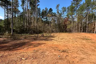 138 Sourwood Dr, Mansfield, GA 30055 - Photo 6