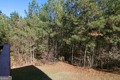 386 Springwater Way, Bremen, GA 30110 - Photo 56