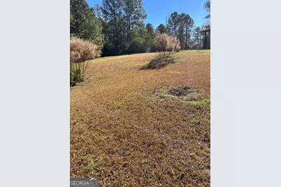 6330 Riggins Mill Road, Dry Branch, GA 31020 - Photo 20