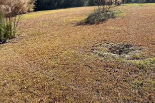 6330 Riggins Mill Rd, Dry Branch, GA 31020 - Photo 20