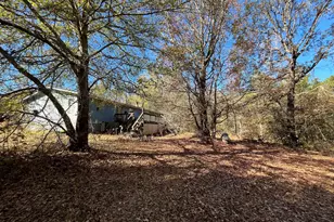 6326 Riggins Mill Rd, Dry Branch, GA 31020 - Photo 52