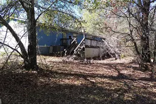 6326 Riggins Mill Rd, Dry Branch, GA 31020 - Photo 94