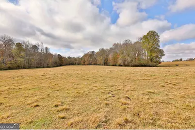Lot 7 Mask Road - Hanner's Farm South, Brooks, GA 30205 - Photo 8
