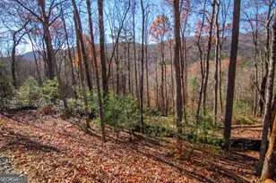 Lot 5 Clay's Way, Blue Ridge, GA 30513 - Photo 12