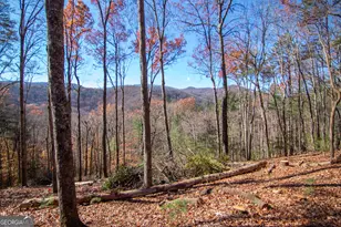 Lot 5 Clay's Way, Blue Ridge, GA 30513 - Photo 8