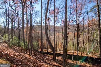 Lot 5 Clay's Way, Blue Ridge, GA 30513 - Photo 4