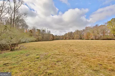 Lot 8 Mask Road - Hanner's Farm South, Brooks, GA 30205 - Photo 8