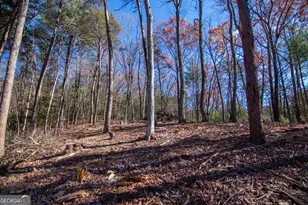 Lot 2A Clay's Way, Blue Ridge, GA 30513 - Photo 10