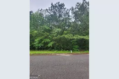 179 Ashley Trace Drive, Locust Grove, GA 30248 - Photo 4