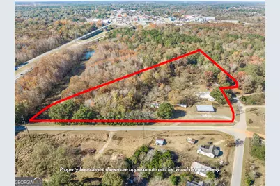 51 Louie Blount Road, Hawkinsville, GA 31036 - Photo 1