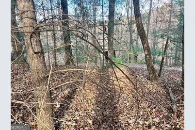 71 Dryad Court, Ellijay, GA 30540 - Photo 4