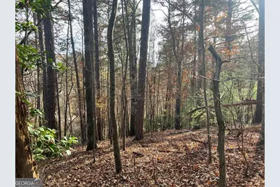 71 Dryad Court, Ellijay, GA 30540 - Photo 2