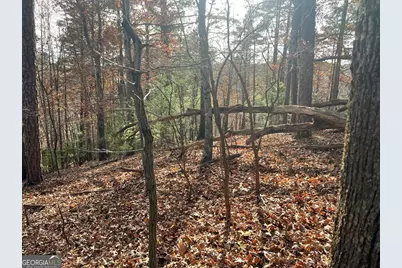 71 Dryad Court, Ellijay, GA 30540 - Photo 8