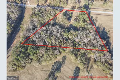 980 Grandma Branch Road, Grantville, GA 30220 - Photo 28