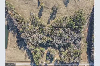 980 Grandma Branch Road, Grantville, GA 30220 - Photo 30