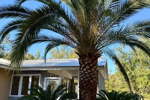 321 N Grove Blvd, Kingsland, GA 31548 - Photo 22