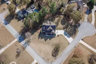 12 Race Point Way, Sharpsburg, GA 30277 - Photo 2