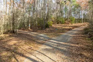 789 Jolley Way, Epworth, GA 30541 - Photo 64