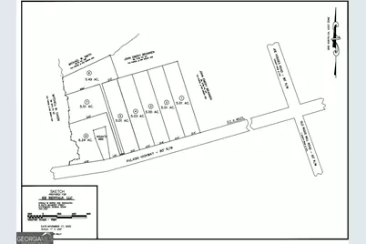 0 Lot 4 Pulaski Road, Statesboro, GA 30458 - Photo 1