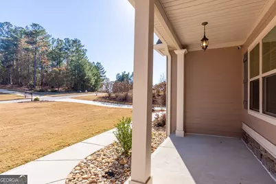 171 Walden Pond Trail, Senoia, GA 30276 - Photo 10