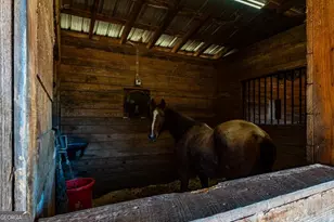 161 Archer Grove Rd, Athens, GA 30607 - Photo 36