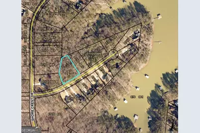 85 Peninsula Point, Martin, GA 30557 - Photo 1