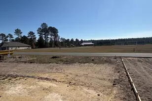 232 Park View Ln, Kingsland, GA 31548 - Photo 8