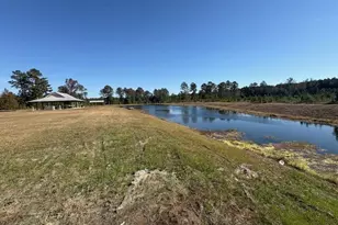 229 Park View Ln, Kingsland, GA 31548 - Photo 50