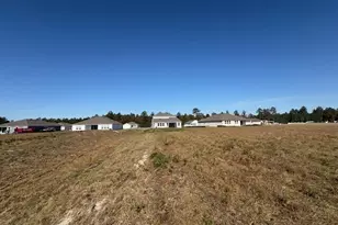 229 Park View Ln, Kingsland, GA 31548 - Photo 46