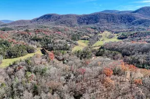 194 Forest Hill Dr, Blairsville, GA 30512 - Photo 56