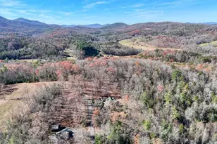 194 Forest Hill Dr, Blairsville, GA 30512 - Photo 54