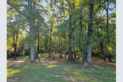 364 Centralhatchee Parkway, Franklin, GA 30217 - Photo 34