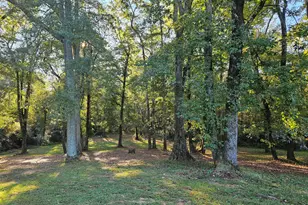 364 Centralhatchee Pkwy, Franklin, GA 30217 - Photo 34