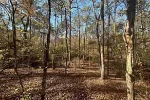 10291 Whitehouse Pkwy, Woodbury, GA 30293 - Photo 6