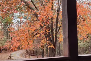 10291 Whitehouse Pkwy, Woodbury, GA 30293 - Photo 34