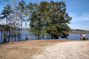 10291 Whitehouse Pkwy, Woodbury, GA 30293 - Photo 42