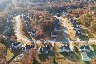 389 Young James Cir, Stockbridge, GA 30281 - Photo 44