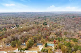 1384 Pocket Rd, Braselton, GA 30517 - Photo 42