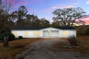 1384 Pocket Rd, Braselton, GA 30517 - Photo 2