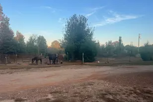 125 Karen Dr, McDonough, GA 30252 - Photo 54