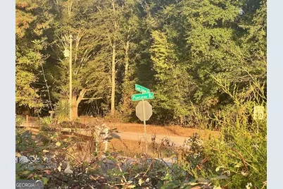 125 Karen Drive, McDonough, GA 30252 - Photo 48