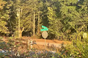 125 Karen Dr, McDonough, GA 30252 - Photo 48