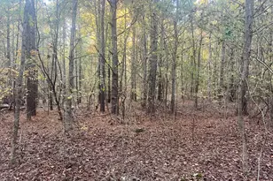 125 Karen Dr, McDonough, GA 30252 - Photo 20