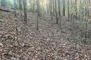 125 Karen Dr, McDonough, GA 30252 - Photo 28